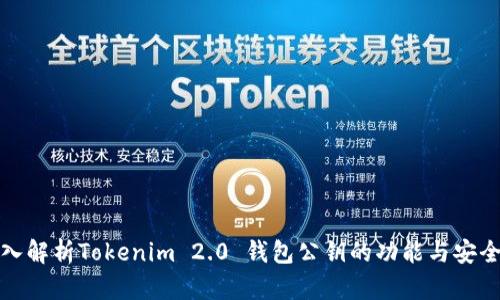 深入解析Tokenim 2.0 钱包公钥的功能与安全性