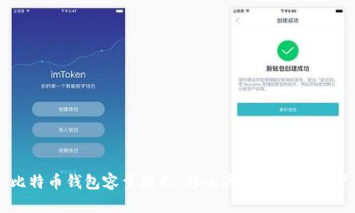 比特币钱包容量增长:影响因素与未来展望