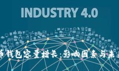 比特币钱包容量增长：影响因素与未来