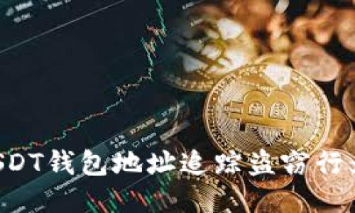 如何通过USDT钱包地址追踪盗窃行为：全面指南
