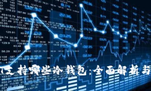 USDT支持哪些冷钱包：全面解析与推荐