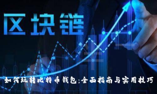如何玩转比特币钱包：全面指南与实用技巧