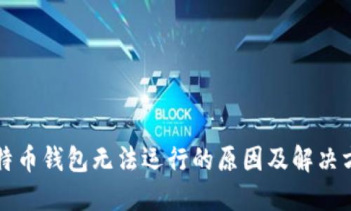 比特币钱包无法运行的原因及解决方案