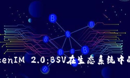 深入探讨TokenIM 2.0:BSV在生态系统中的角色与应用