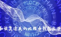 如何寻找和恢复遗失的比特币钱包文件