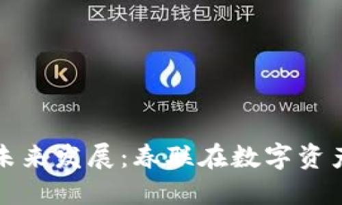 区块链钱包的未来发展：春联在数字资产管理中的意义