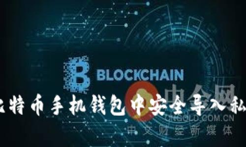 全面解析：如何在比特币手机钱包中安全导入私钥的未来发展趋势