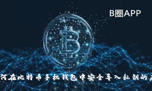 全面解析：如何在比特币手机钱包中安全导入私钥的未来发展趋势