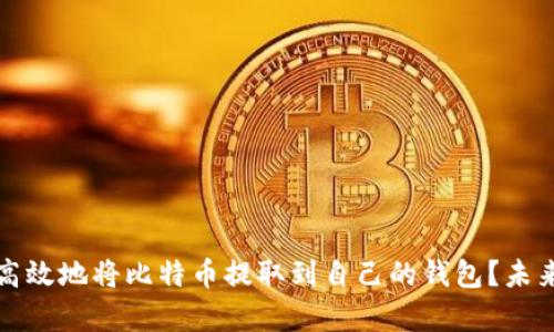 如何安全高效地将比特币提取到自己的钱包?未来趋势解析