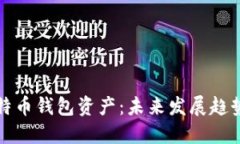 如何查看比特币钱包资产：未来发展趋