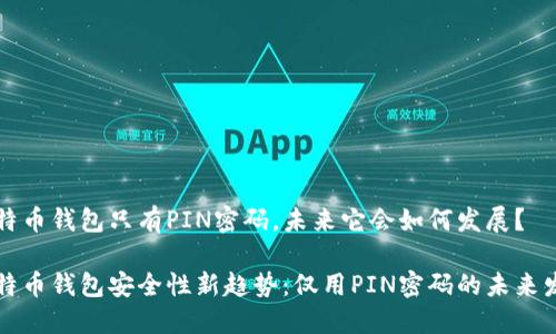 比特币钱包只有PIN密码，未来它会如何发展？

比特币钱包安全性新趋势：仅用PIN密码的未来发展