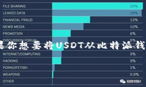比特派钱包（Bitpie Wallet）是一款广受欢迎的数字货币钱包，用户可以使用它存储、管理和交易多种数字资产，包括USDT（Tether）。如果你想要将USDT从比特派钱包转移到其他货币，实际上是可以实现的。不过，具体的步骤和方法需要认真了解。以下是关于比特派钱包转USDT到货币的一些详细信息。

### 如何通过比特派钱包将USDT转移到其他货币？