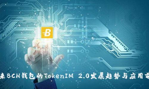 未来BCH钱包的TokenIM 2.0发展趋势与应用前景
