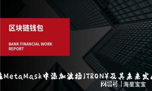 如何在MetaMask中添加波场(TRON)及其未来发展趋势
