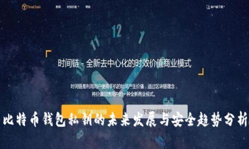 比特币钱包私钥的未来发展与安全趋势分析