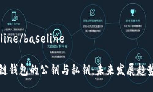 baseline/baseline
区块链钱包的公钥与私钥:未来发展趋势解析