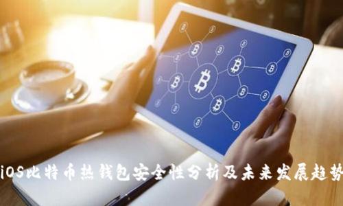 iOS比特币热钱包安全性分析及未来发展趋势