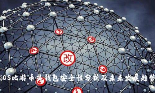 iOS比特币热钱包安全性分析及未来发展趋势