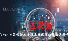Tokenim里的各大主链未来发展趋势及其