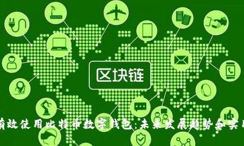 如何有效使用比特币数字钱包：未来发展趋势和实用指南
