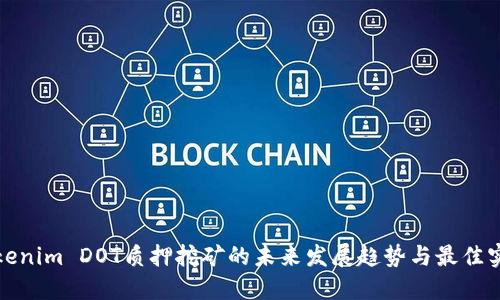 Tokenim DOT质押挖矿的未来发展趋势与最佳实践