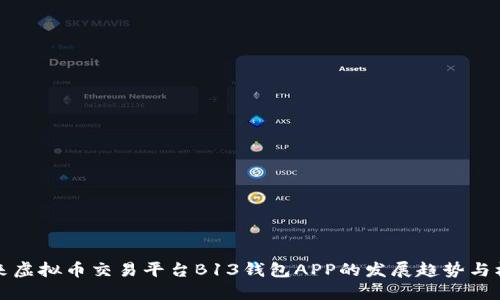 未来虚拟币交易平台B13钱包APP的发展趋势与机遇