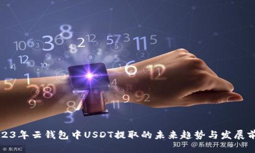 2023年云钱包中USDT提取的未来趋势与发展前景