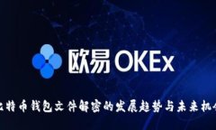 比特币钱包文件解密的发展趋势与未来