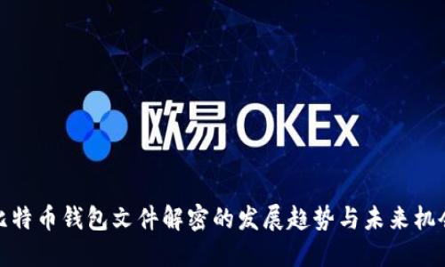 比特币钱包文件解密的发展趋势与未来机会