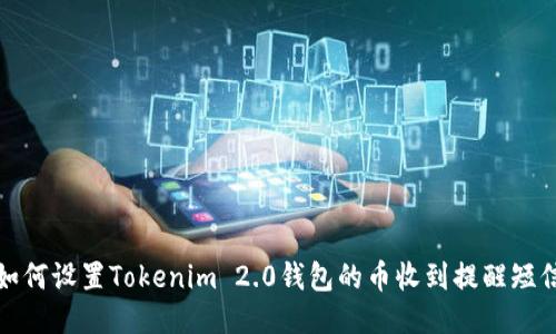 如何设置Tokenim 2.0钱包的币收到提醒短信