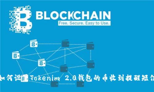 如何设置Tokenim 2.0钱包的币收到提醒短信