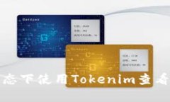 如何在离线状态下使用Tokenim查看加密