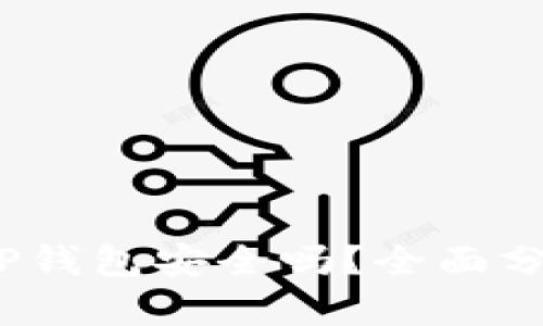 高仿USDT放TP钱包安全吗？全面分析与实用指南