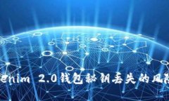 如何应对Tokenim 2.0钱包秘钥丢失的风险