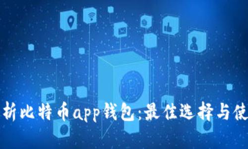 全面解析比特币app钱包：最佳选择与使用指南