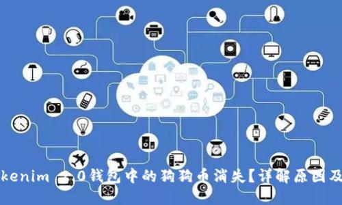 为什么Tokenim 2.0钱包中的狗狗币消失？详解原因及解决方案