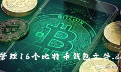如何使用和管理16个比特币钱包文件.dat：全面指