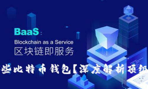 大佬们都在用哪些比特币钱包？深度解析顶级钱包的选择指南