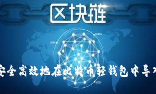 如何安全高效地在比特币轻钱包中导入私钥