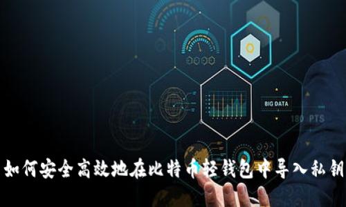 如何安全高效地在比特币轻钱包中导入私钥