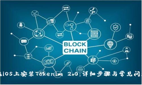 如何在iOS上安装Tokenim 2.0：详细步骤与常见问题解答