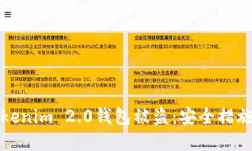 如何防止Tokenim 2.0钱包被盗：安全措施与解决方法