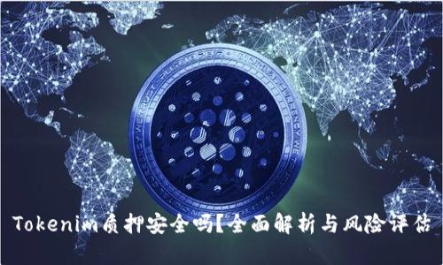 Tokenim质押安全吗？全面解析与风险评估