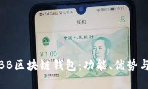 全面解析BB区块链钱包：功能、优势与如何选择