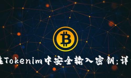 如何在Tokenim中安全输入密钥：详细指南