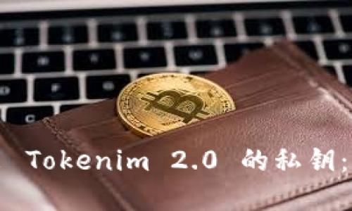 如何导出 Tokenim 2.0 的私钥：完整指南