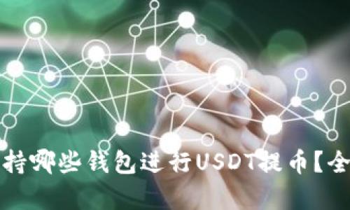 火币网支持哪些钱包进行USDT提币？全方位解析