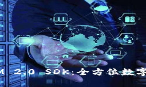 深入探讨 TokenIM 2.0 SDK：全方位数字资产管理解决方案