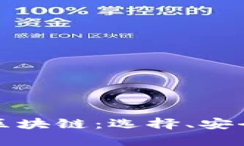 全面解析三大区块链：选择、安全性与使用技巧