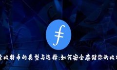 探索比特币的类型与选择